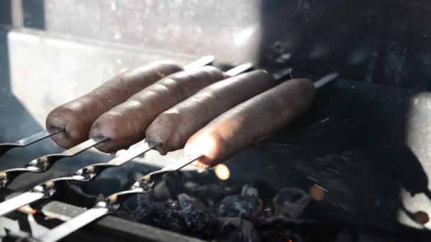 Υπαίθριο μπάρμπεκιου. Νόστιμο ζουμερά λουκάνικα στα κάρβουνα πάνω από μια φωτιά — Αρχείο Βίντεο