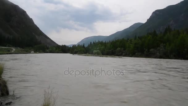 Flusso d'acqua veloce nel fiume di montagna, rocce lungo la riva del fiume — Video Stock