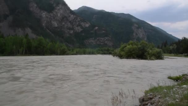 Flusso d'acqua veloce nel fiume di montagna, rocce lungo la riva del fiume — Video Stock