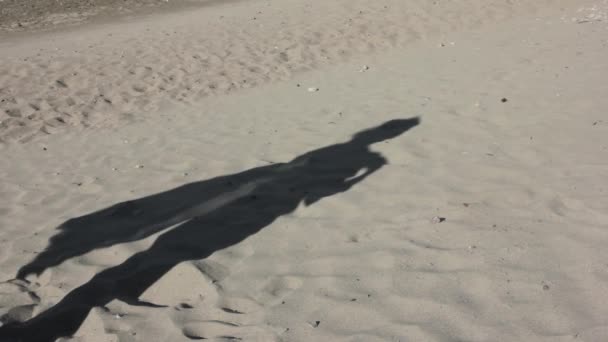 Ombre sur un sable de jeune fille mince avec pareo sur un vent — Video