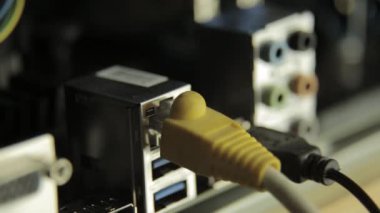 Ağ kartı anakart kablo ile. Yanıp sönen lamba, sinyal varlığı