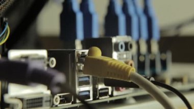 Kablo anakart Razer bir arka plan üzerinde olan ağ kartı. Yanıp sönen lamba, sinyal varlığı