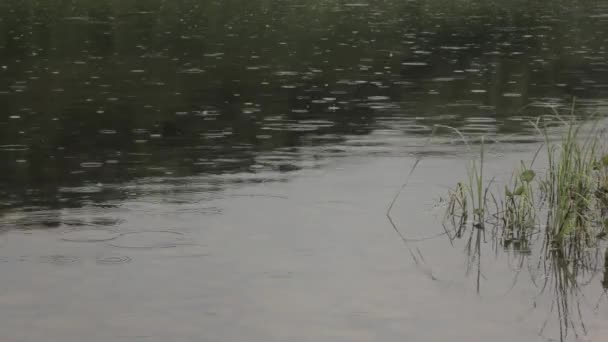 gouttes de pluie sur l'eau calme de rivière 