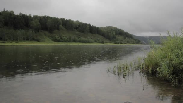 Regnet droppar på lugn flodvatten — Stockvideo