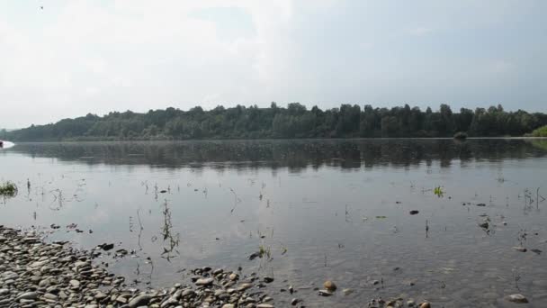 Pêcheur à moitié nu avec une canne à pêche pêche dans la rivière calme — Video