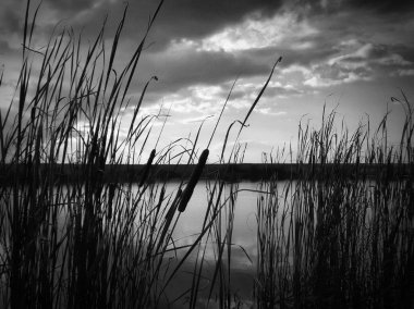Göl, thunderclouds ve çim bir kıyısında günbatımı
