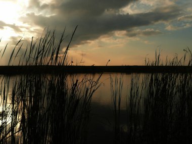 Göl, thunderclouds ve çim bir kıyısında günbatımı