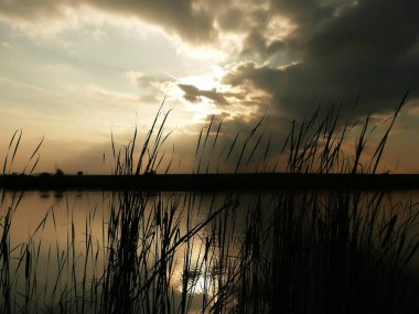 Göl, thunderclouds ve çim bir kıyısında günbatımı
