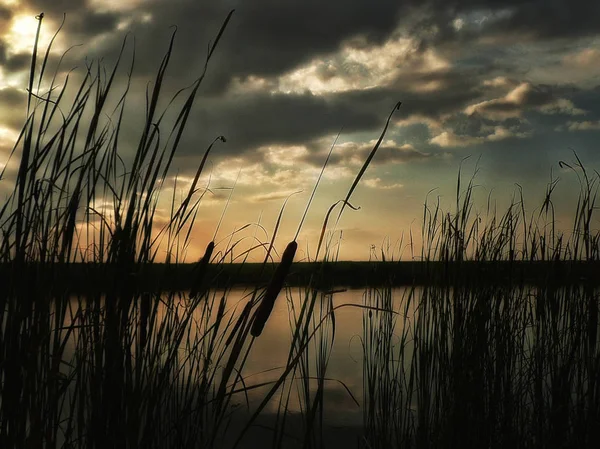 Göl, thunderclouds ve çim bir kıyısında günbatımı