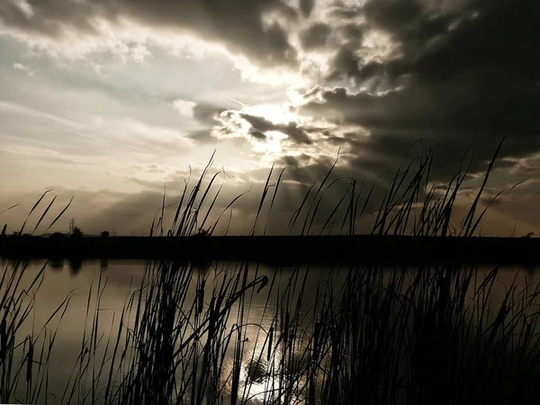 Göl, thunderclouds ve çim bir kıyısında günbatımı