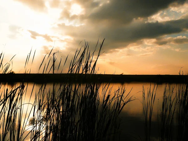 Göl, thunderclouds ve çim bir kıyısında günbatımı