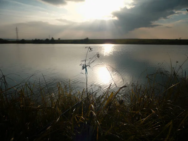 Göl, thunderclouds ve çim bir kıyısında günbatımı
