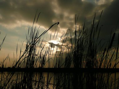 Göl, thunderclouds ve çim bir kıyısında günbatımı