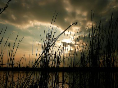 Göl, thunderclouds ve çim bir kıyısında günbatımı