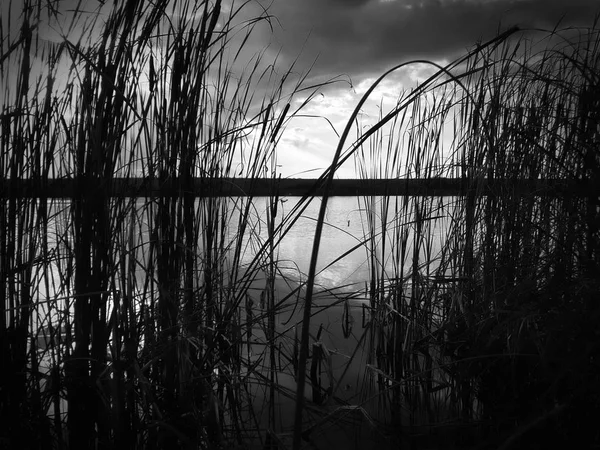 Zachód Słońca Jezioro, burzowe i trawy na brzegu — Zdjęcie stockowe