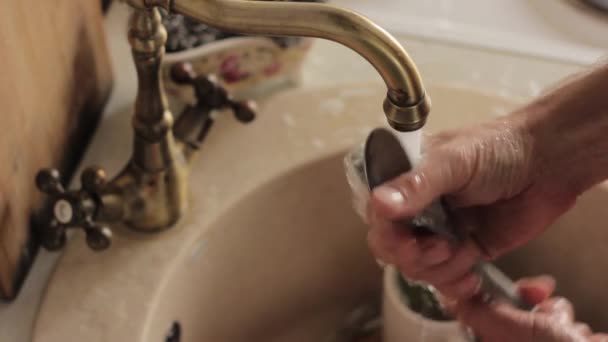 Man washes a dishes, rinses the plates of foam and detergent — Stock Video