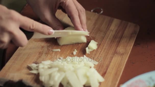 Frau schneidet Zwiebeln auf Holzbrett — Stockvideo