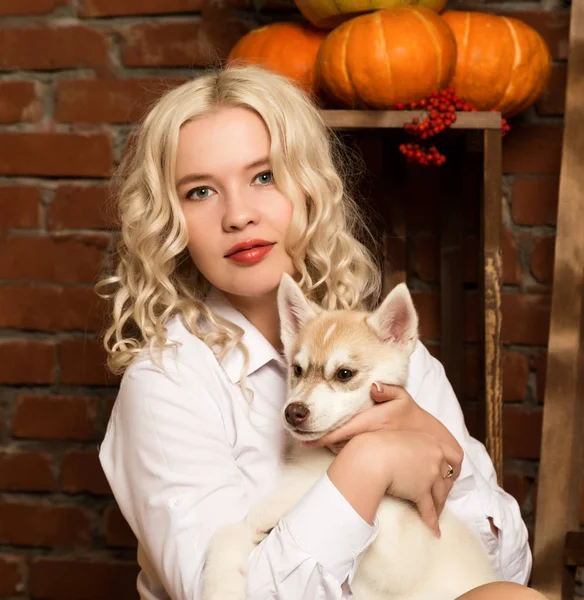 Glückliche blonde Frau mit Husky-Welpen auf Herbsterntehintergrund — Stockfoto