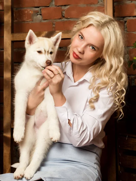 Feliz rubia mujer con husky cachorro en un otoño cosecha fondo —  Fotos de Stock
