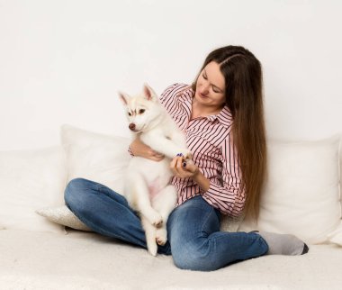 Mutlu güzel kadın kucaklama köpek yavrusu husky. bir köpek ile bir kanepede oturan kız