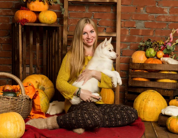 happy beautiful woman with husky puppy with autumn harvest on a brick wall background