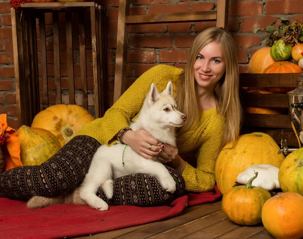 Heureuse belle femme avec chiot husky avec récolte d'automne sur un fond de mur de briques — Photo