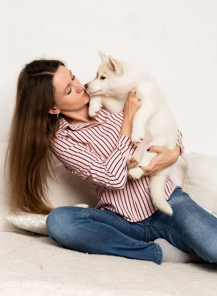 Mulher bonita feliz abraçando cachorro husky. menina sentado em um sofá e filhote de cachorro lambe ela — Fotografia de Stock
