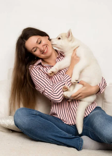 행복 한 아름 다운 여자 포옹 강아지 허스키입니다. 여자는 소파와 강아지에 앉아 그녀를 감싸고합니다 — 스톡 사진