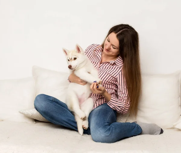 Счастливая красивая женщина обнимает щенячью хаски. девушка, сидящая на диване с собакой — стоковое фото