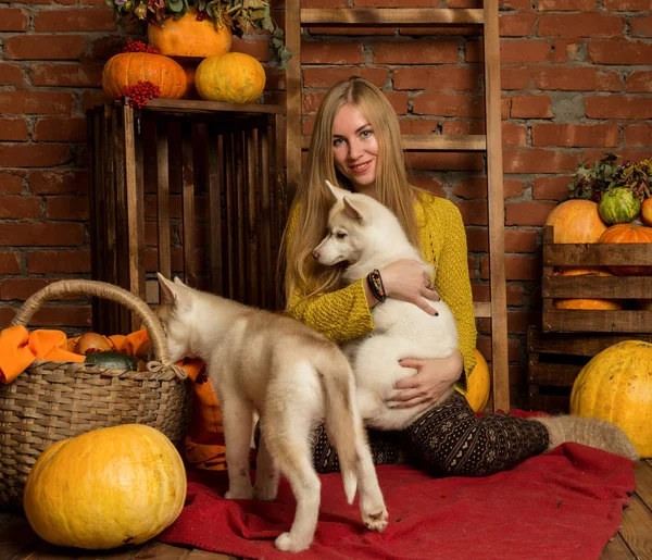 가 수확에 벽돌 벽 배경 허스키 강아지와 함께 행복 한 아름 다운 여자 — 스톡 사진