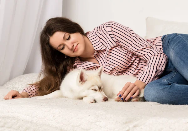 Onu evde beslenen hayvan ile bir kanepede oturan mutlu güzel kadın. Kız sarılma köpek yavrusu husky — Stok fotoğraf