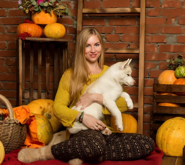 Glückliche schöne Frau mit Husky-Welpen mit Herbsternte auf Backsteinmauer-Hintergrund — Stockfoto