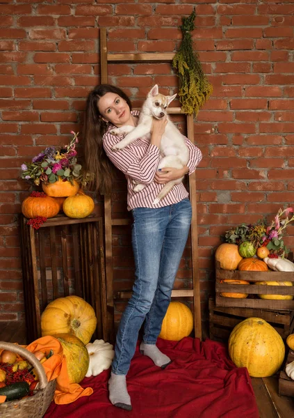 Heureuse belle femme avec chiot husky avec récolte d'automne sur un fond de mur de briques — Photo
