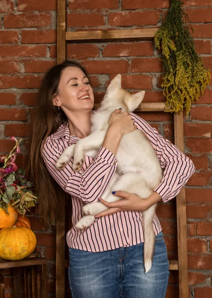 Heureuse belle femme avec chiot husky avec récolte d'automne sur un fond de mur de briques — Photo