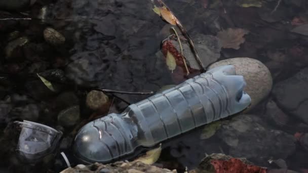 La basura en una orilla del lago, la contaminación del agua — Vídeos de Stock