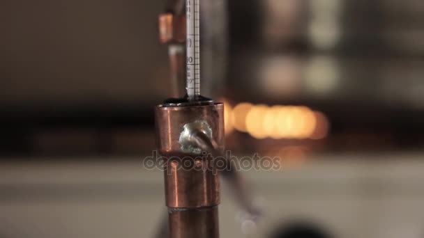 Apparecchiature di distillazione dell'alcol, flusso di fluido di liquore nel barattolo di vetro — Video Stock