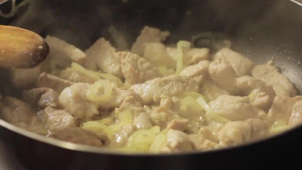 野菜と肉を炒める家庭の台所の鍋 — ストック動画