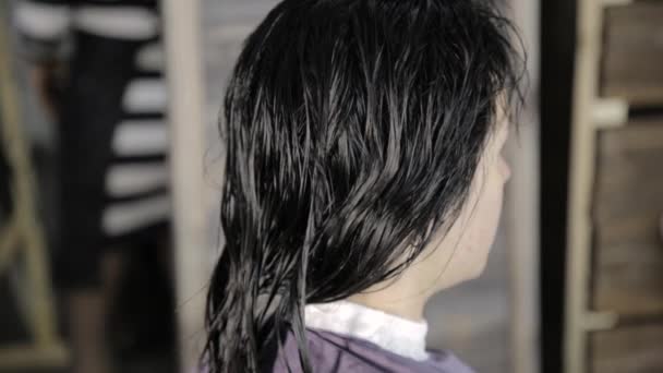 Επαγγελματία κομμωτή που χτενίζει τα μαλλιά του θηλυκό πελάτη. Έννοια της ομορφιάς και περιποίησης μαλλιών — Αρχείο Βίντεο