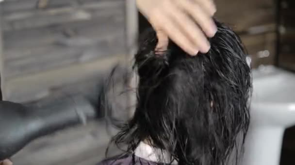 Beautiful woman in beauty salon. Professional hair dresser used a hairdryer. — Stock Video