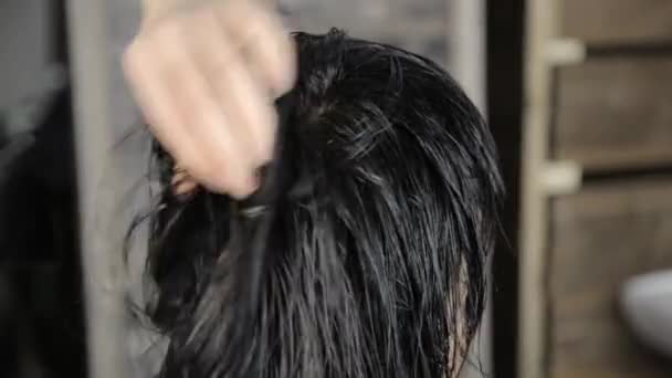 Mooie vrouw in de schoonheidssalon. Professionele kapsalon gebruikt een haardroger. — Stockvideo