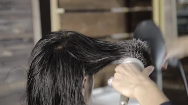 Estilista hace el peinado para el hermoso cliente femenino y utiliza secador de pelo con peine — Vídeos de Stock