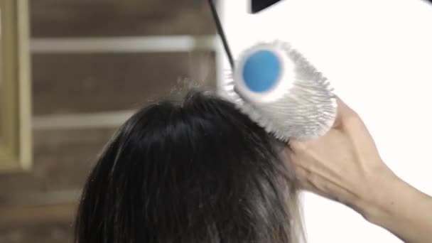 Peluquería profesional hace el peinado del cabello para el cliente femenino hermoso y utiliza secador de pelo con peine — Vídeo de stock