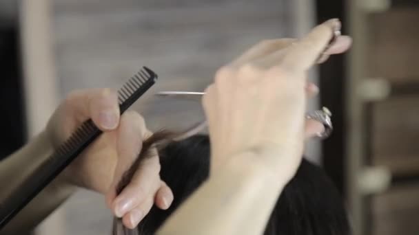 Cabeleireiro profissional corta um cabelo para uma jovem mulher. Corte de cabelo close-up . — Vídeo de Stock