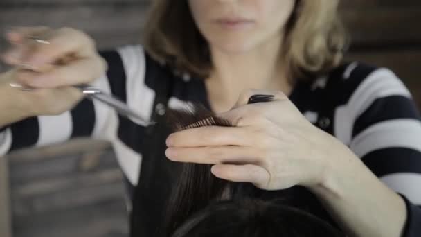 Estilista corta um cabelo para uma jovem mulher em um salão de beleza, faz um penteado para uma menina — Vídeo de Stock