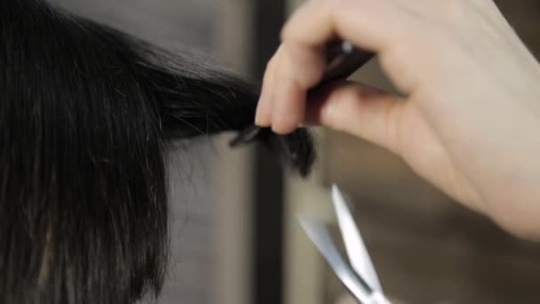 Estilista corta um cabelo para uma jovem mulher em um salão de beleza, faz um penteado para uma menina — Vídeo de Stock