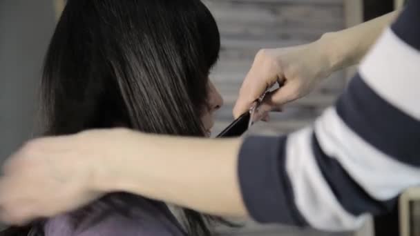 Corte de pelo para una joven clienta de salón de belleza — Vídeo de stock