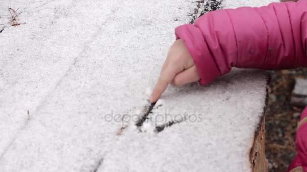 Mladá dívka nakreslit na zasněžené stůl, hry v zimní dřevo — Stock video