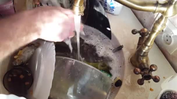 Detail mans rukou myčky nádobí, vodní paprsek oplach desek z pěny a pracího prostředku — Stock video