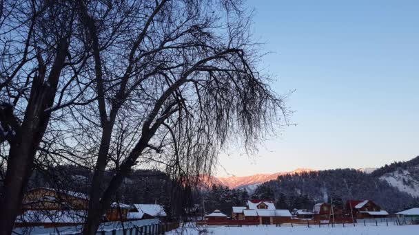 Vinterlandskap på landsbygden. små fåglar på grenarna i ett träd — Stockvideo