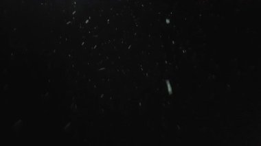 kar yavaş yavaş gece kış aylarında düşer